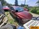 car_555618_2.jpg