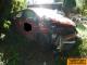 car_555985_3.jpg