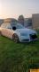 car_558305_10.jpg